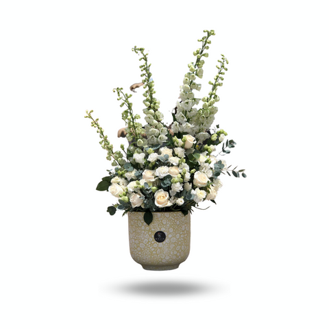 Carnation White
