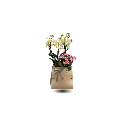 Mini Orchids with pink kalanchoe