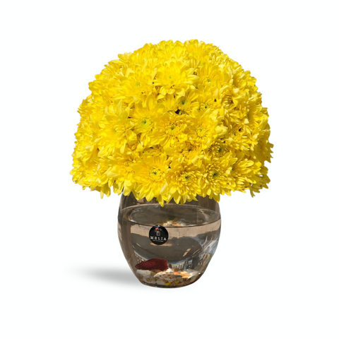 Yellow Chrysanthemum with Fighter Fish