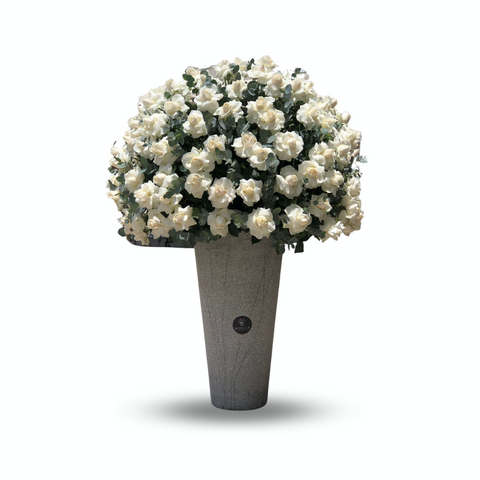 White Big Roses