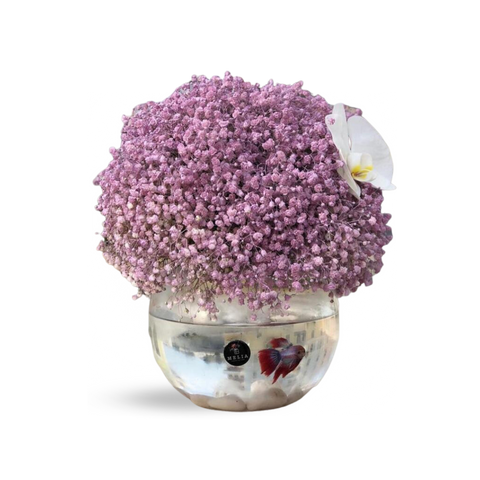 Purple Gypsophila with Fighter Fish