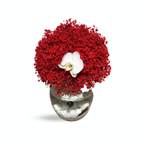 Red Gypsophila with Fighter Fish