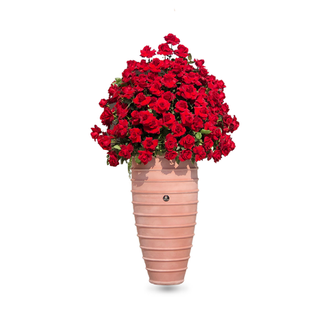 Red Big Roses