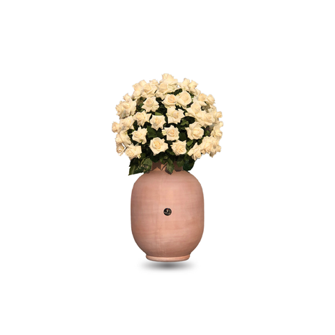 White Big Roses