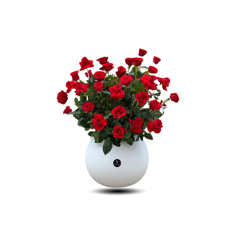 Vase Arrangement - 05