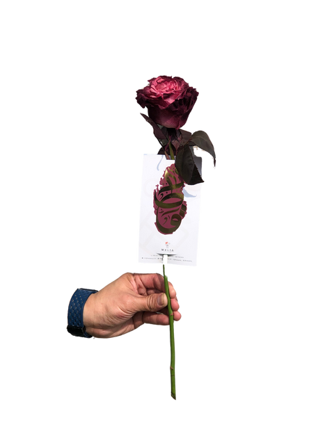 Single rose (velvet) with chocolate